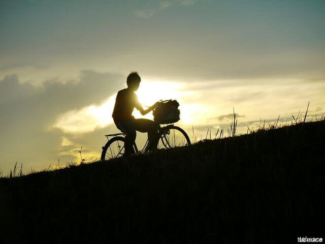 夕陽を背に自転車で走る甥っ子